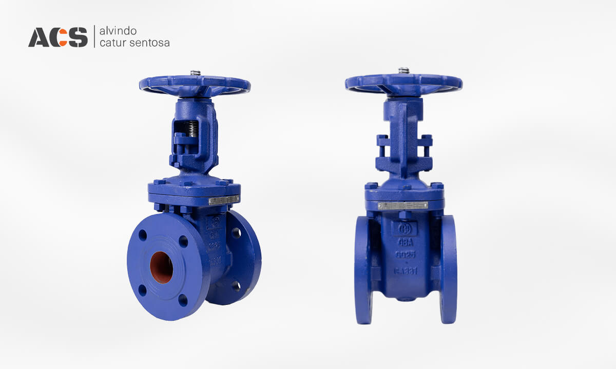 Type of Gate Valves