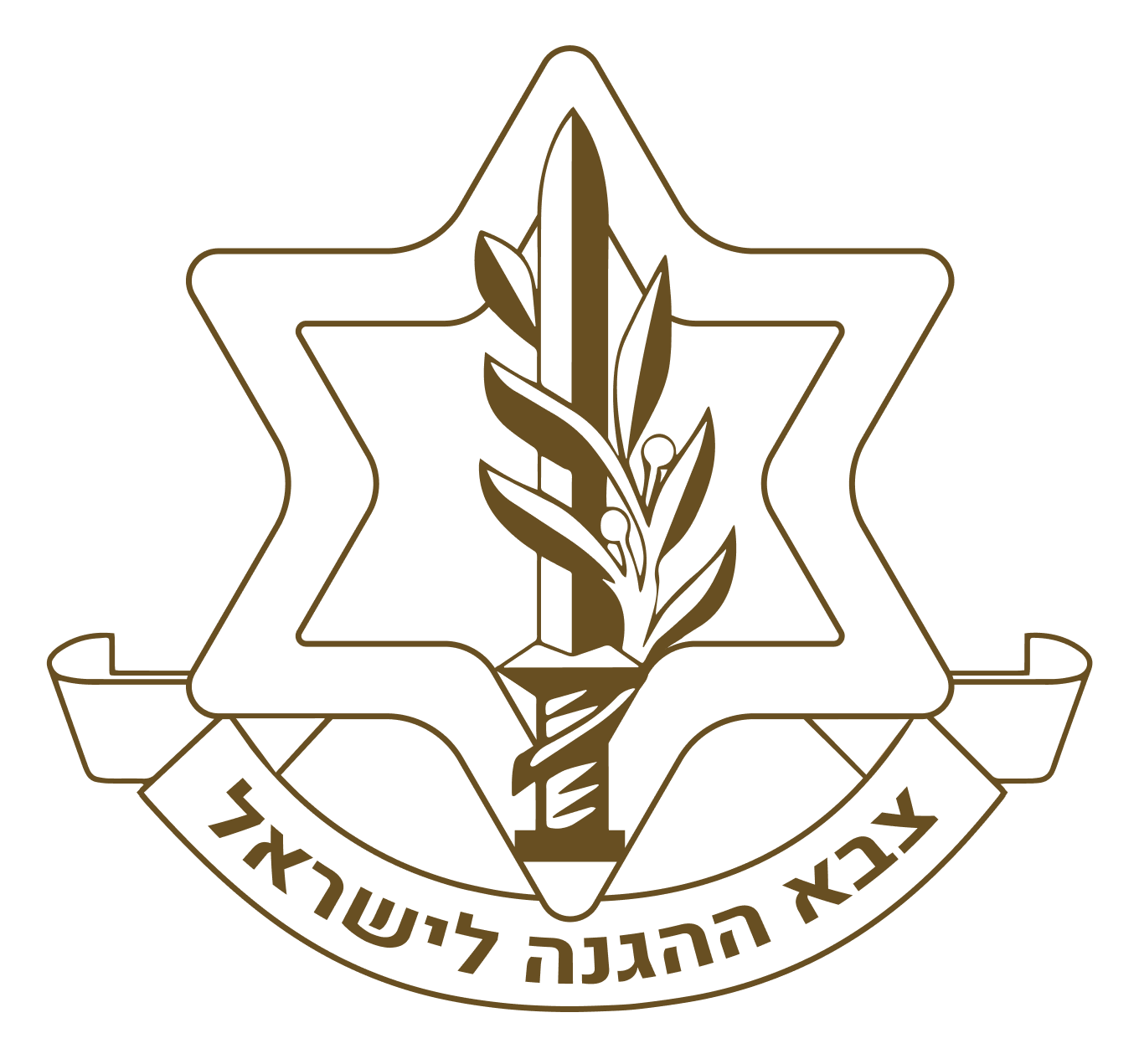 Israel Defense Forces