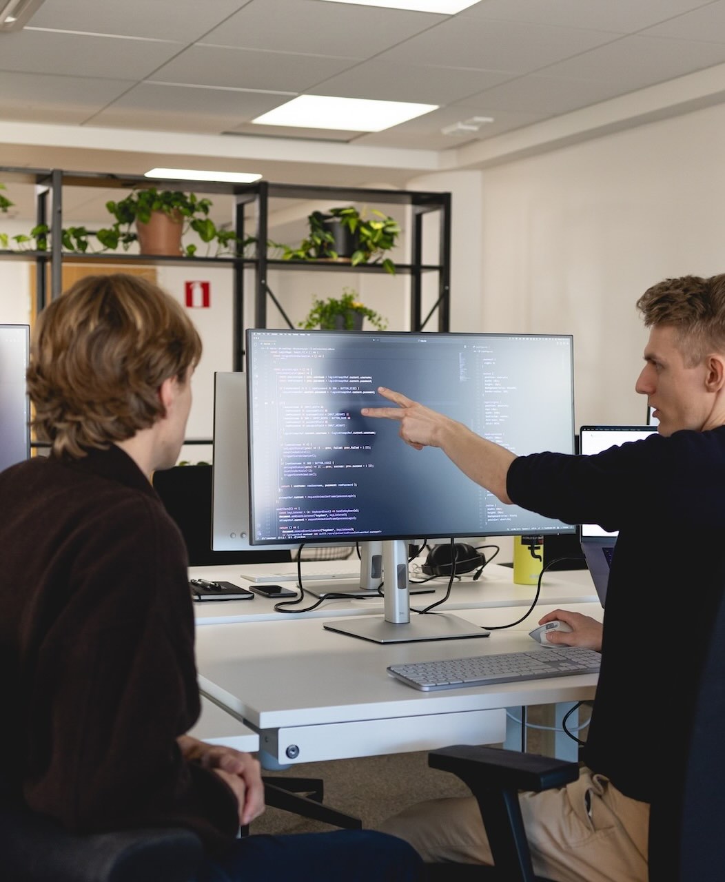 Taiste developers reviewing code