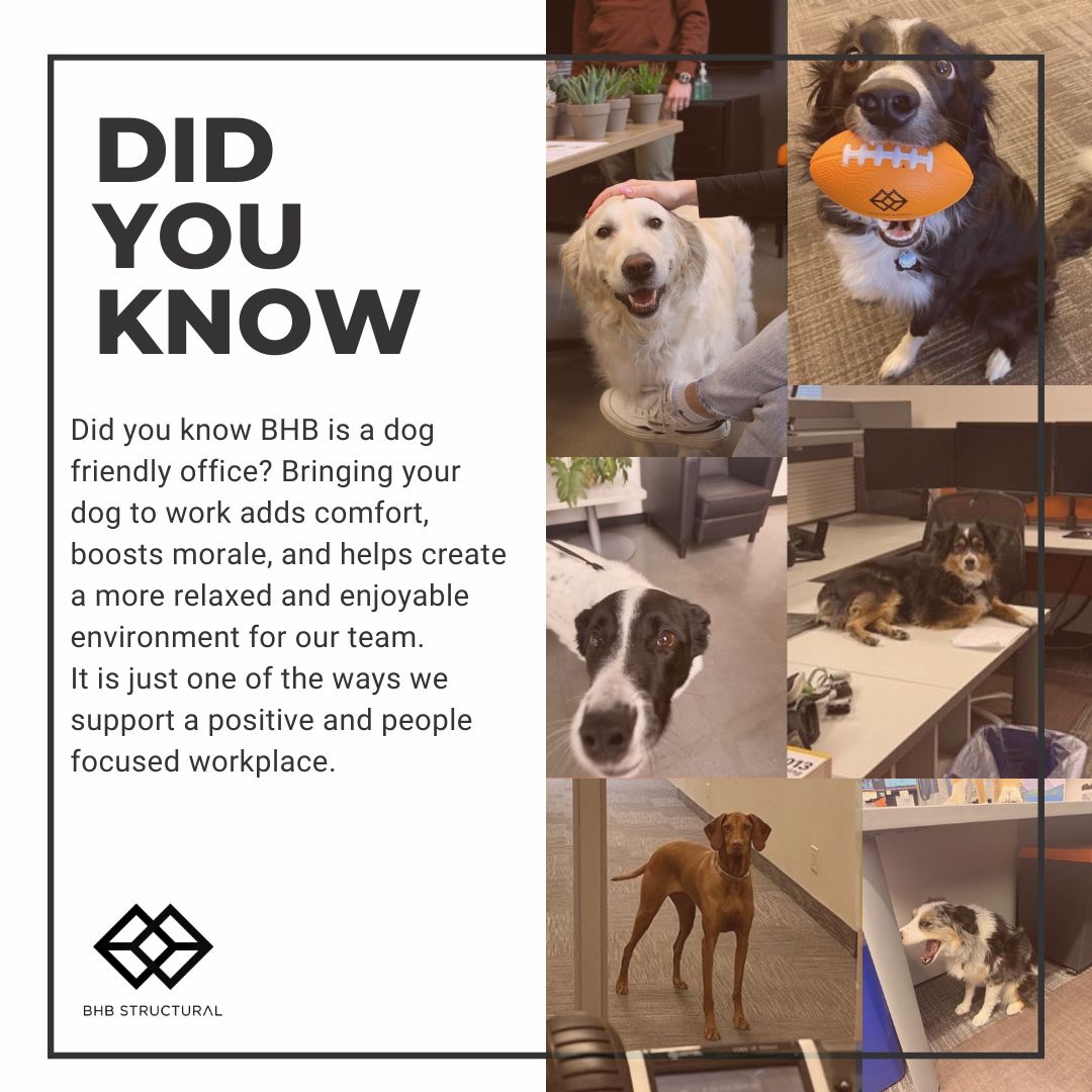https://www.instagram.com/p/DYkb-NfGifk/