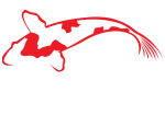 8-Kol logo.