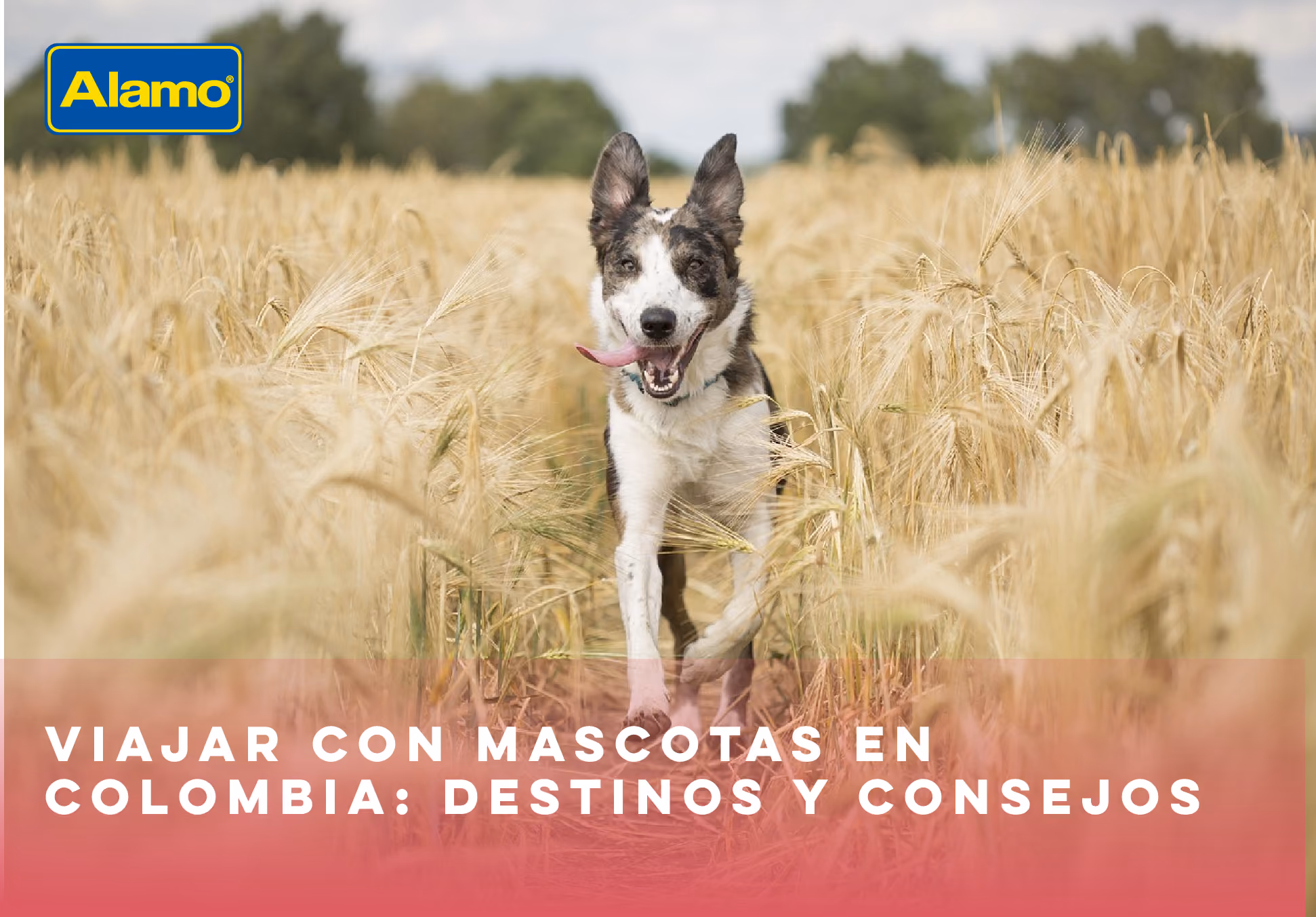 Destinos colombia