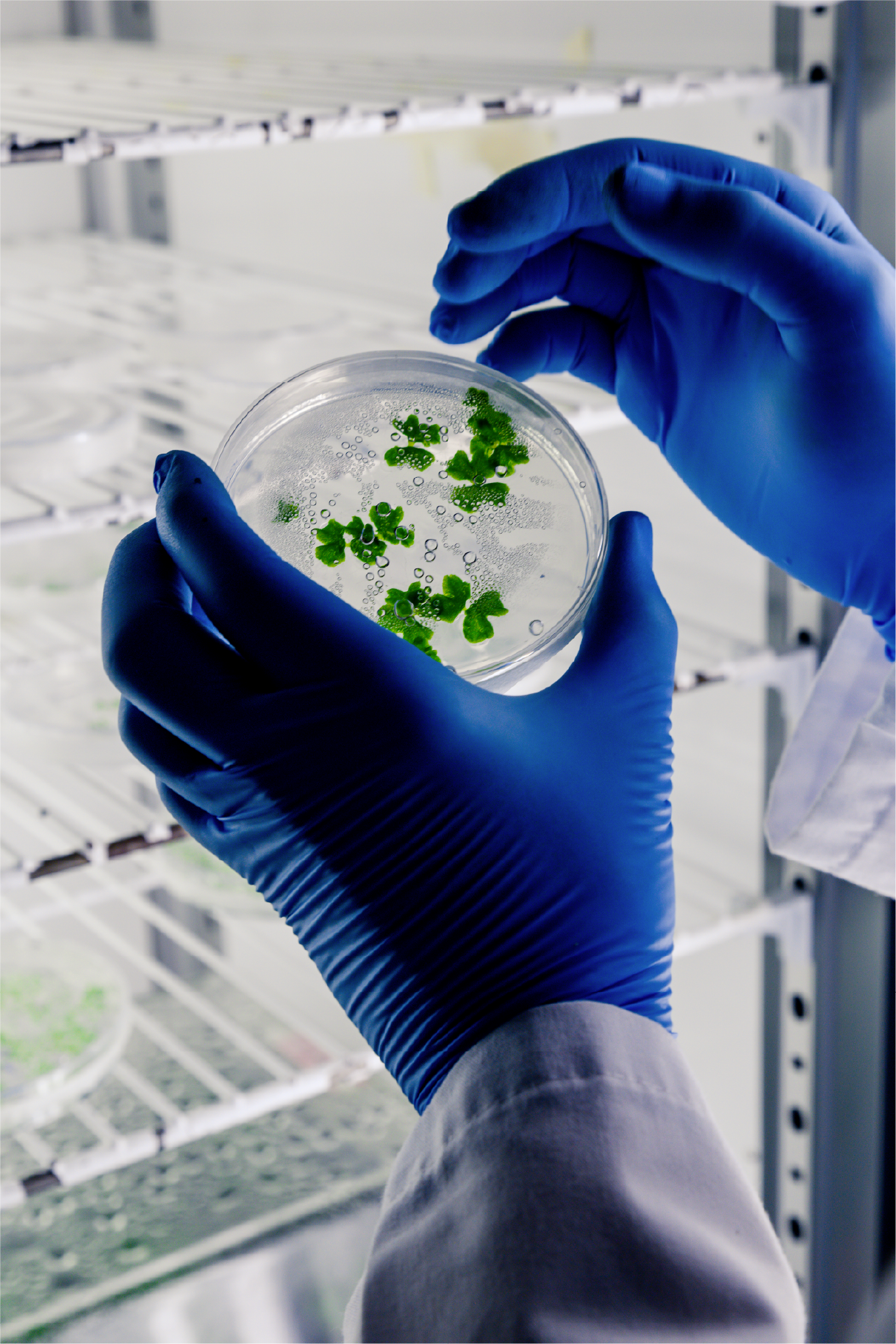 Life Science Marketing Agency Photography