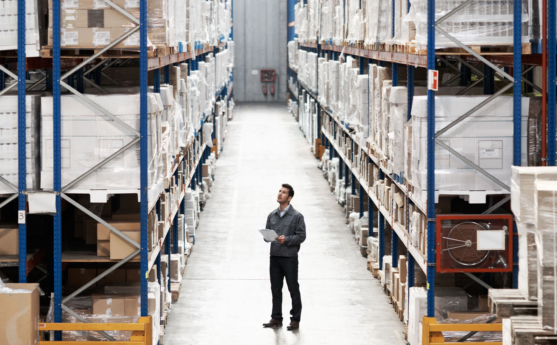 MedTech distributor marketing company supporting distributor portfolio priorities, partner enablement, localized selling, training, lead handoffs, campaigns, and regional market execution