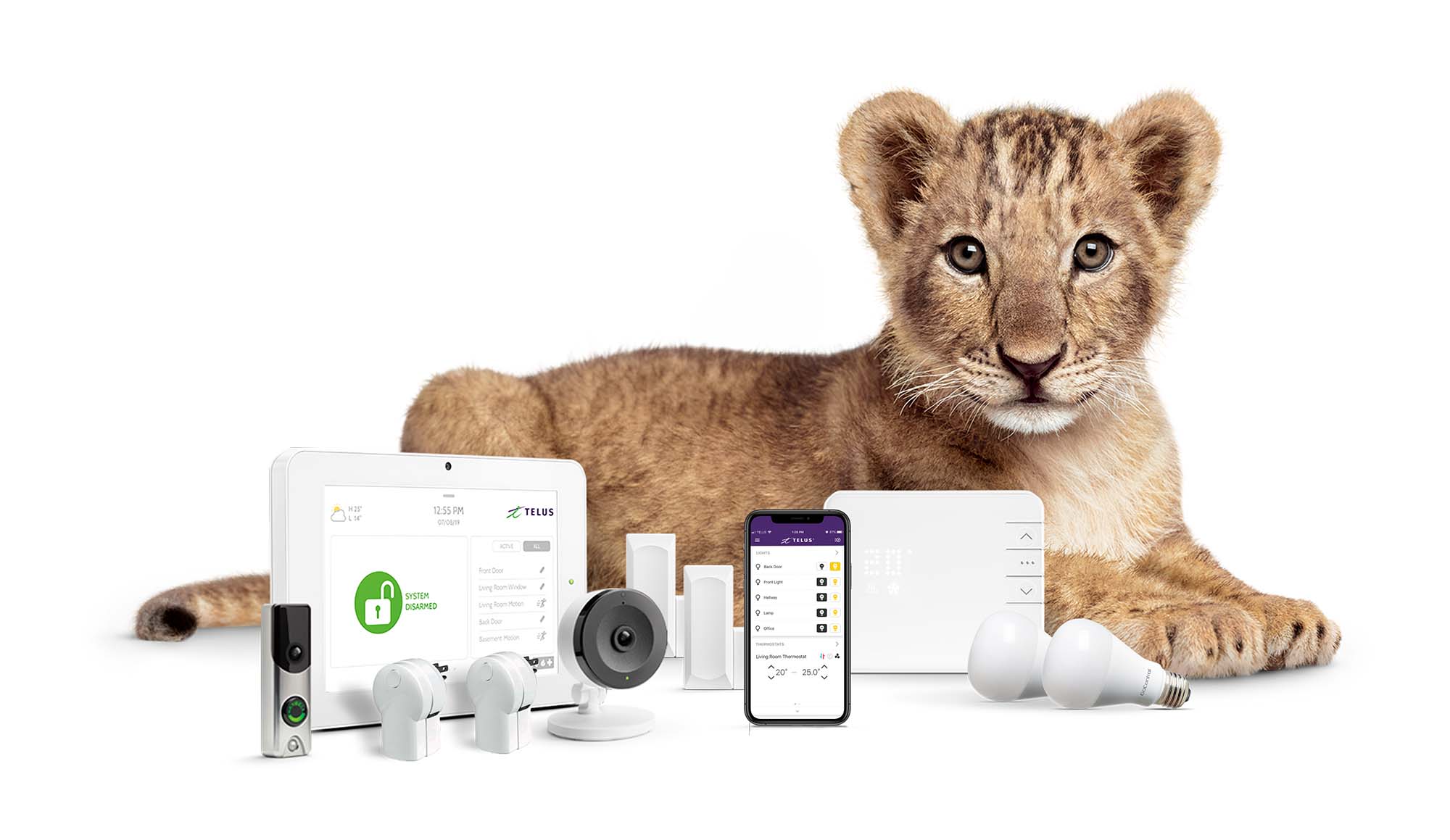A TELUS Lion Cub and smart home security products