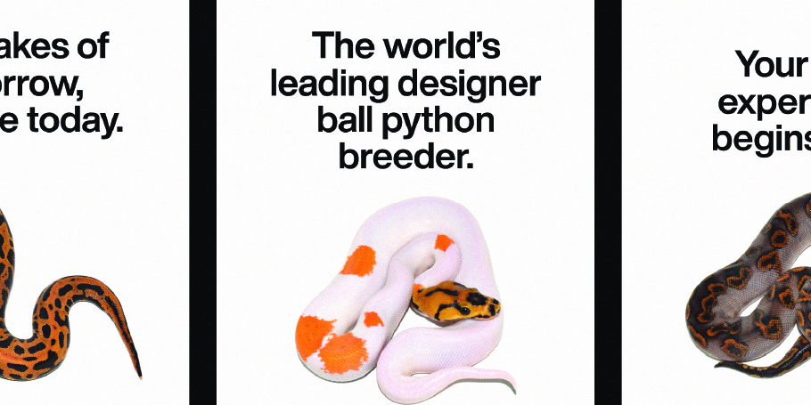 White ball python with orange spots coiled beneath the text 'The world’s leading designer ball python breeder.'