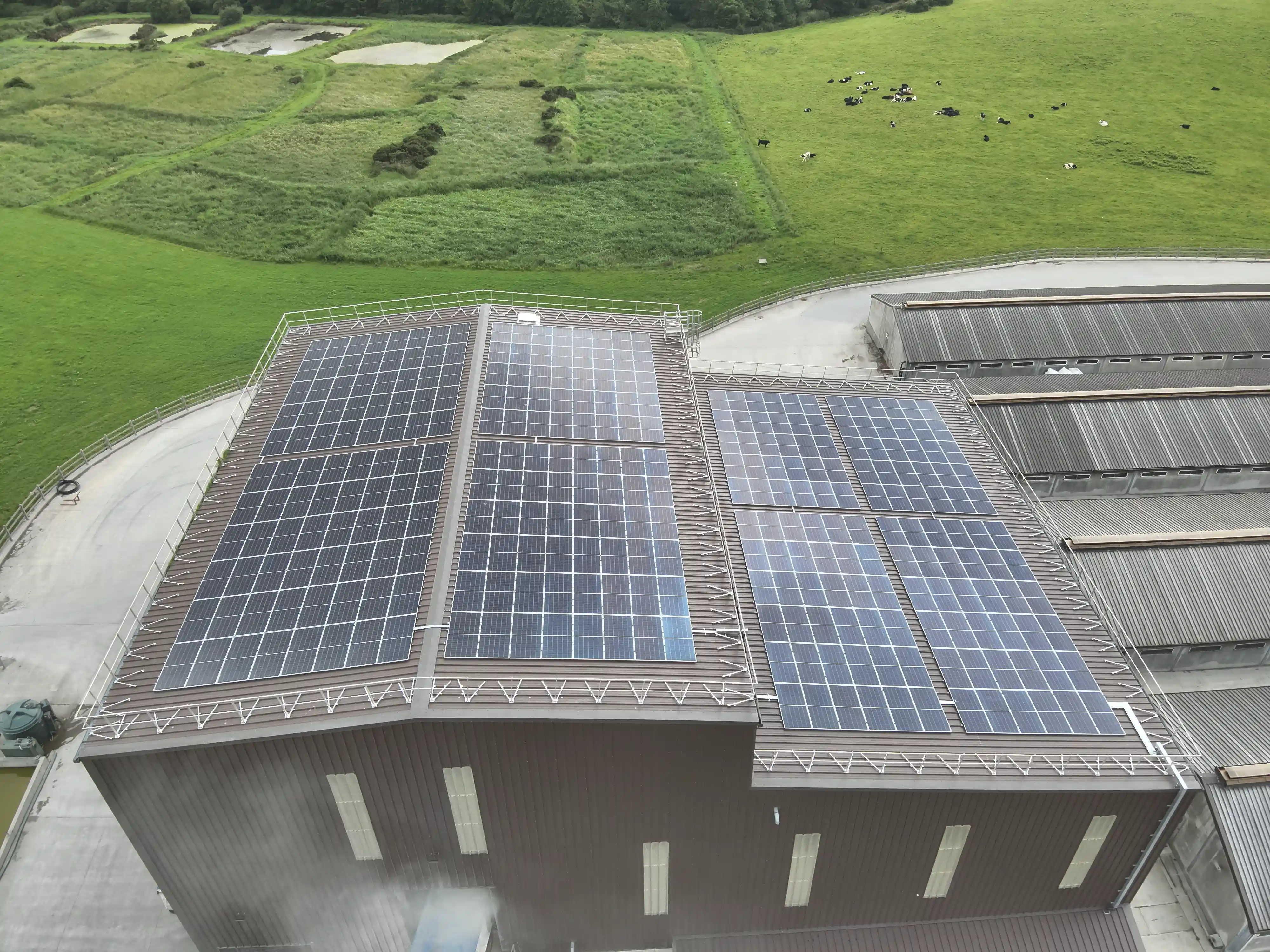 Eddi solar hot water diverter