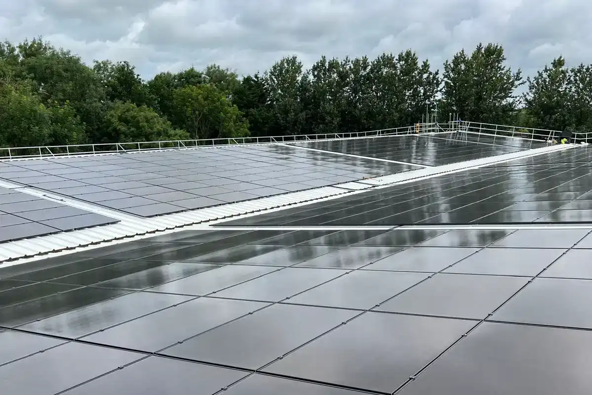 Eddi solar hot water diverter