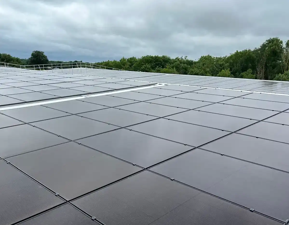 Eddi solar hot water diverter