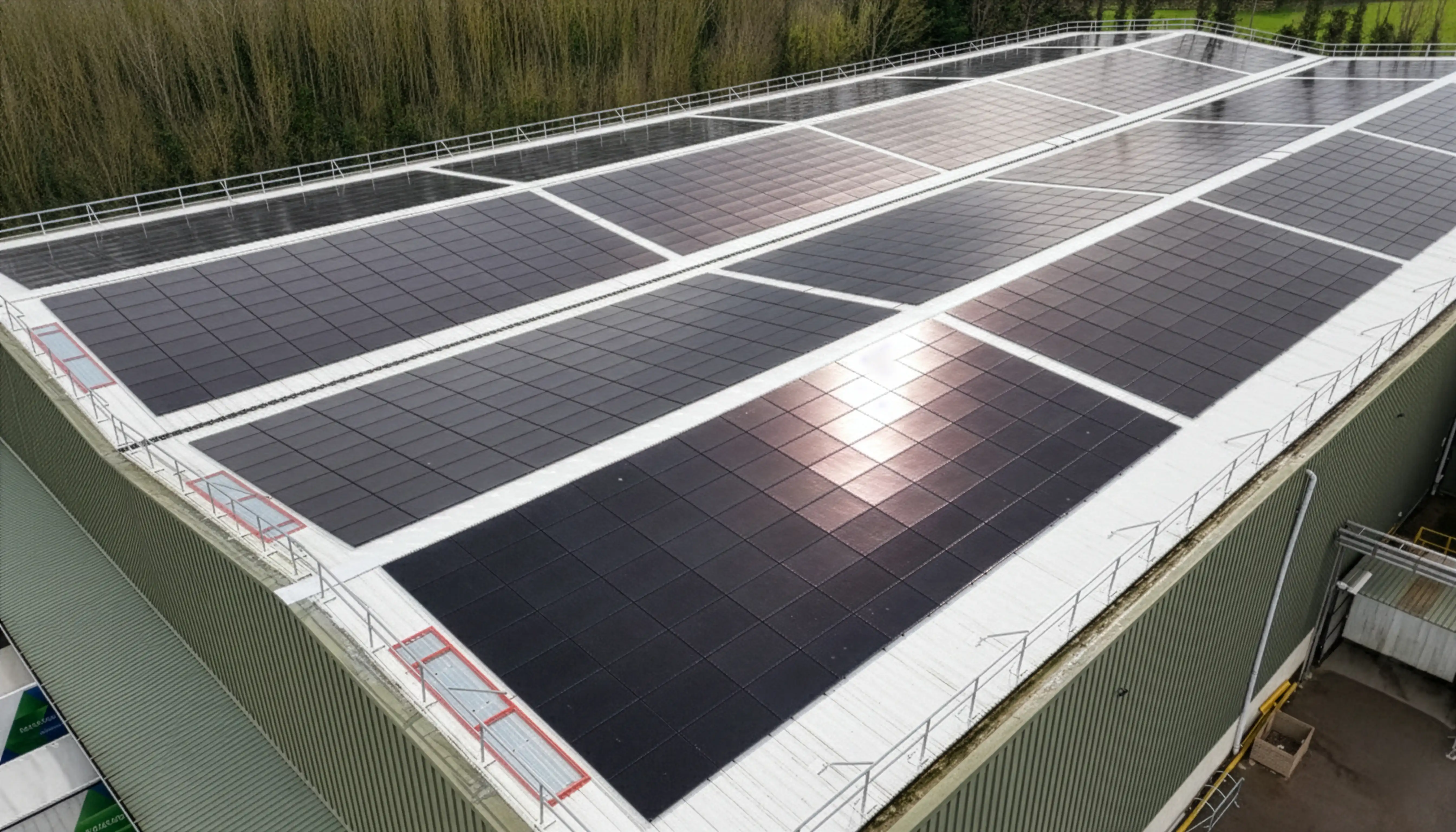 Eddi solar hot water diverter