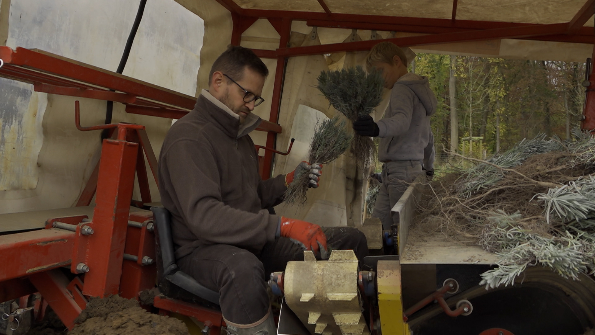 Boukè Média • Apiculture: un champ de lavandin pour repeupler nos régions en abeilles