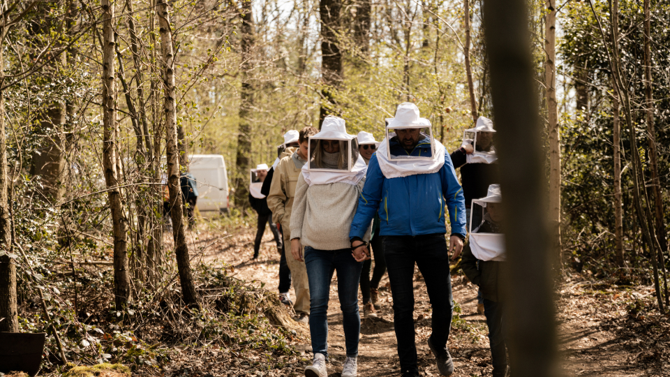 Le Sillon Belge • Le Beeclub