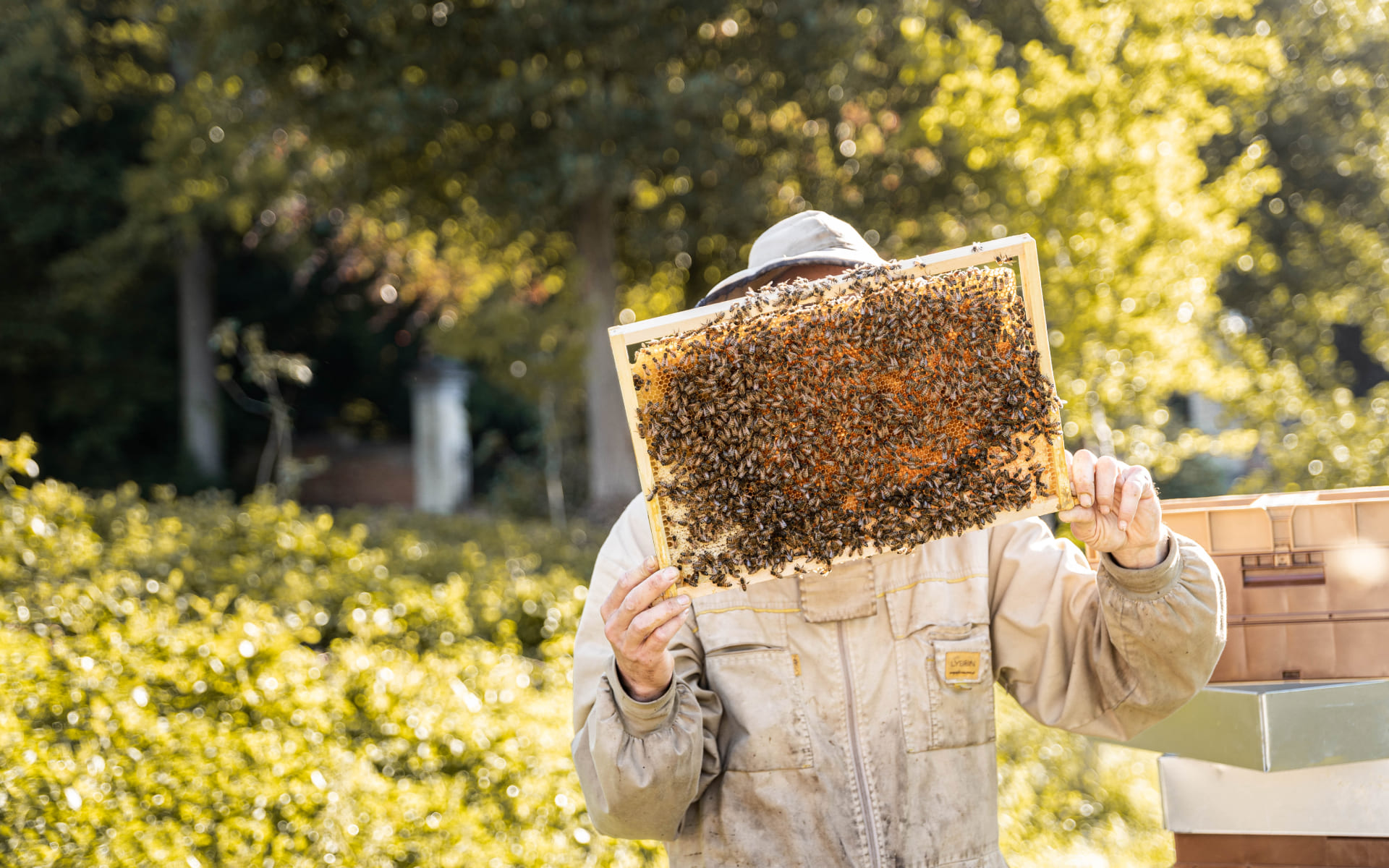 Beelgium, nos colonies choisies avec soin