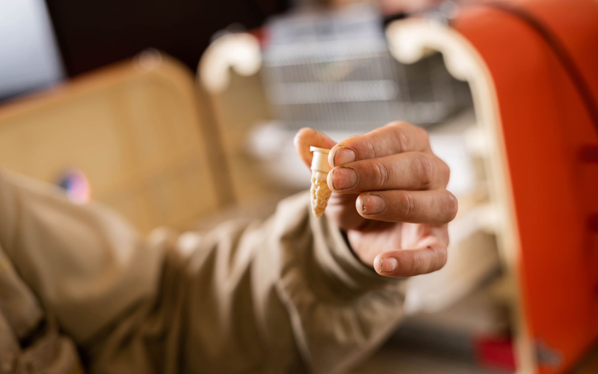 Beelgium - Elevage de Reines