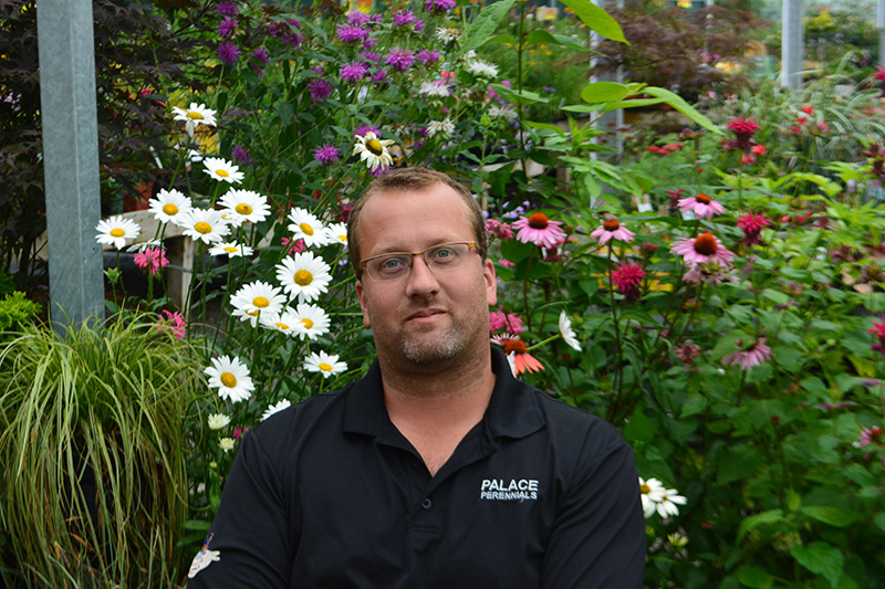 Mark Sipkens