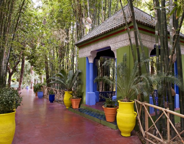 Les Potes, les Bambous, les palmiers au Jardin Majorelle