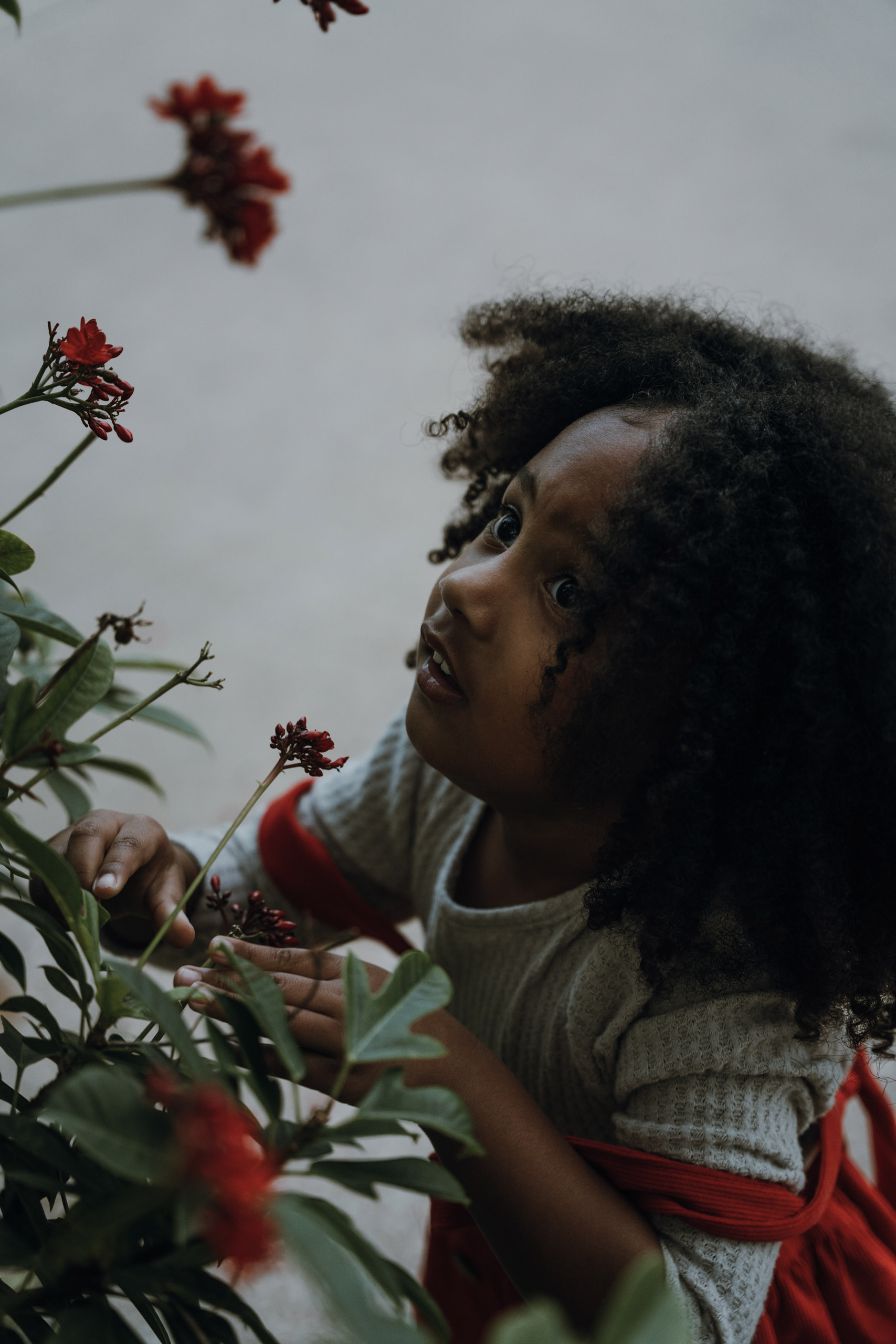 Family, Photos, Photography, Tampa, Land O' Lakes, Wesley Chapel, Dade City, San Antonio, FL, Florida