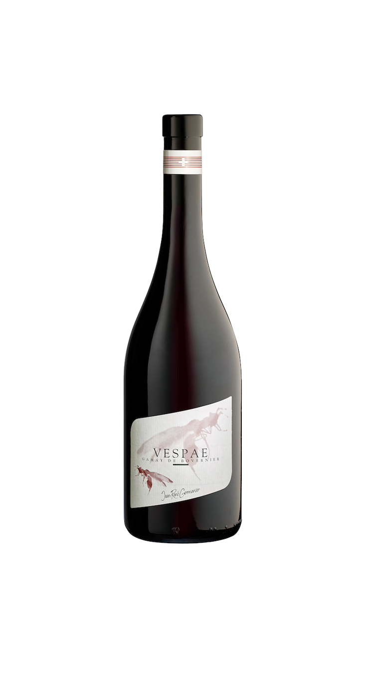 Vespae - Gamay de Bovernier