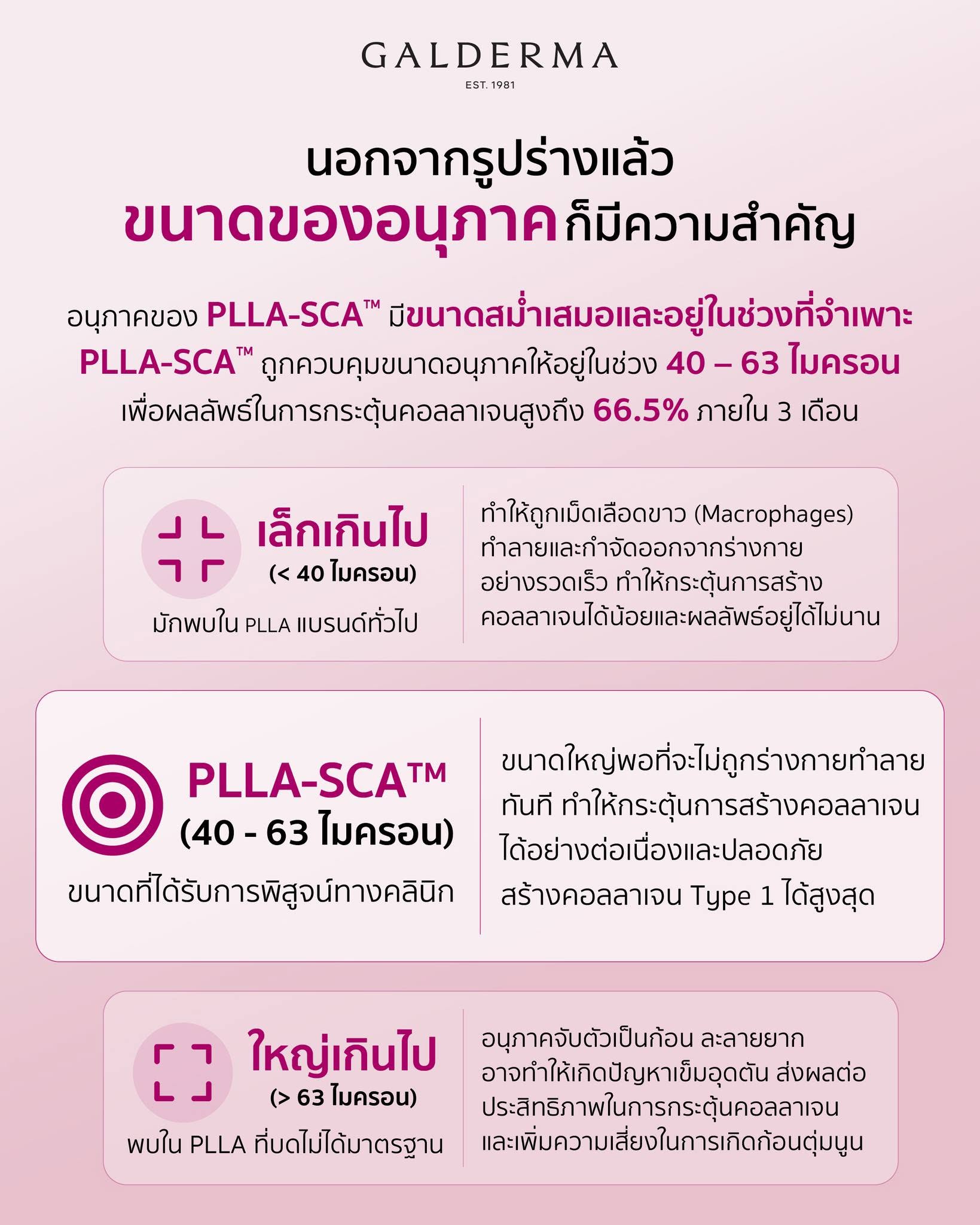 อินโฟกราฟิกอธิบายขนาดอนุภาค PLLA-SCA™ 40–63 ไมครอน เปรียบเทียบกับอนุภาค PLLA ที่เล็กหรือใหญ่เกินไป