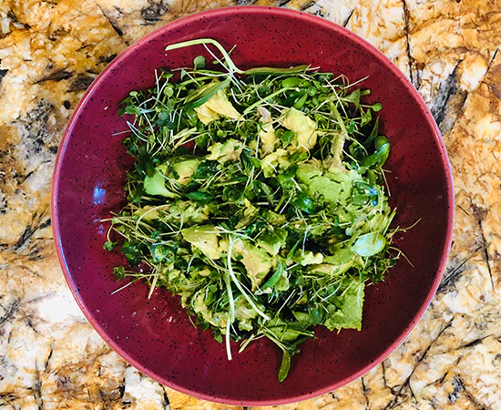 Avocado Salad Microgreens