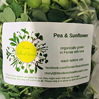 Pea Sunflower Fernie Micro-Greens
