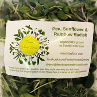 Radish Salad Fernie Micro-Greens