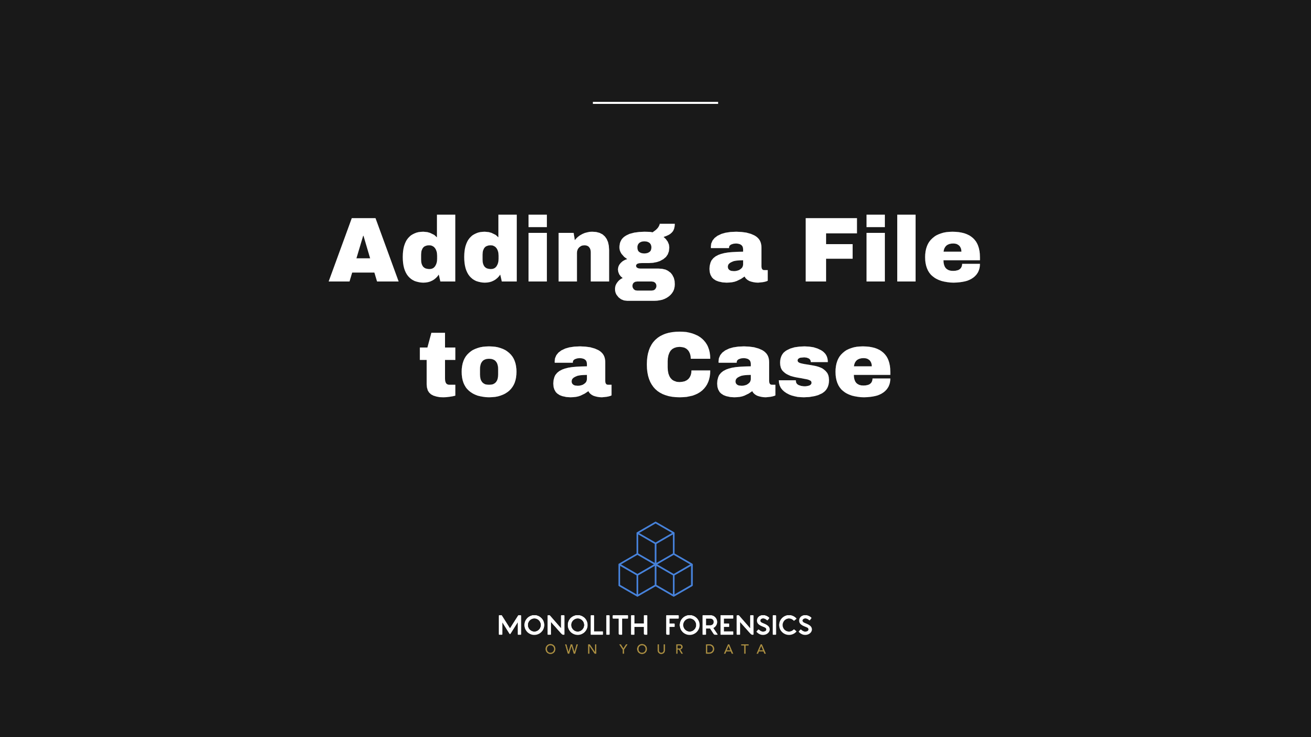 Adding a File to a Case in Monolith