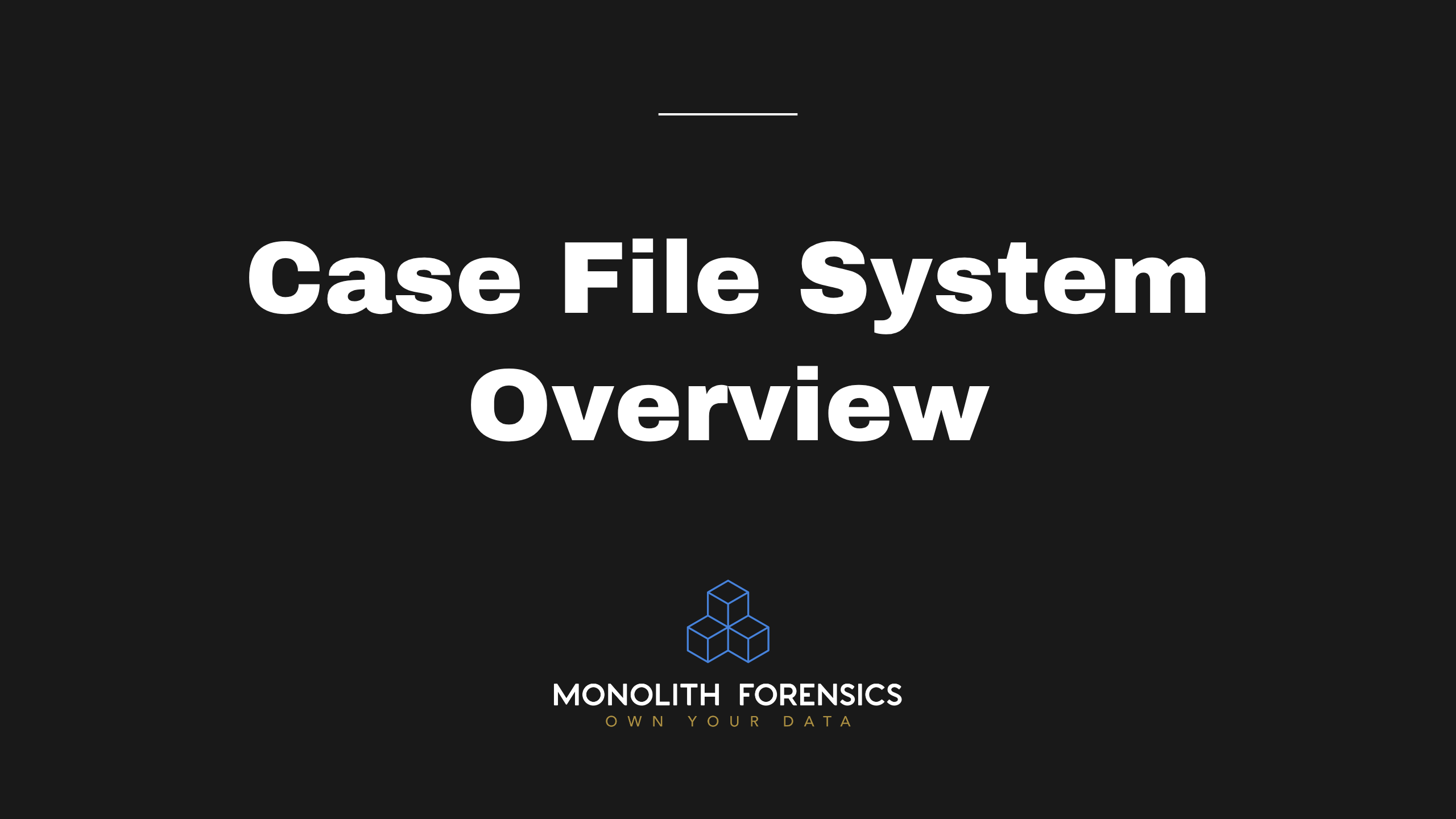 Case File System Overview