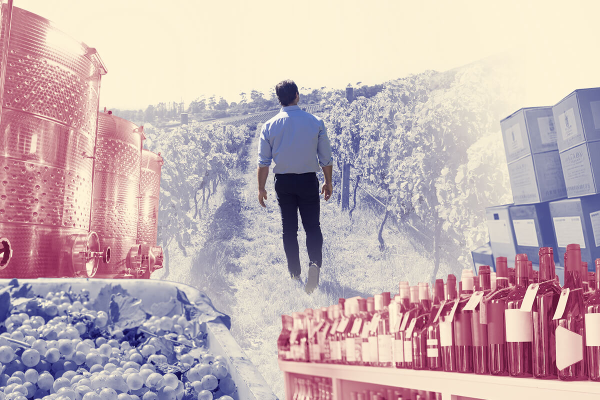 State of the wine industry