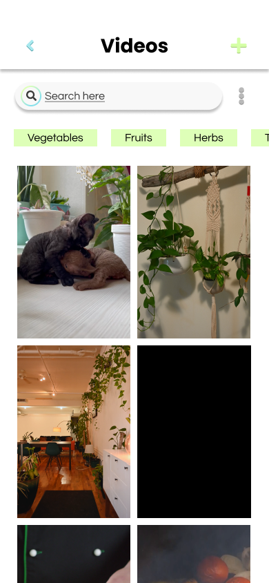 Mobile app interface showing a 'Videos' section with a search bar, category tags like Vegetables, Fruits, and Herbs, and thumbnails including cats resting, hanging plants in macrame holders, and an indoor space with plants and furniture.