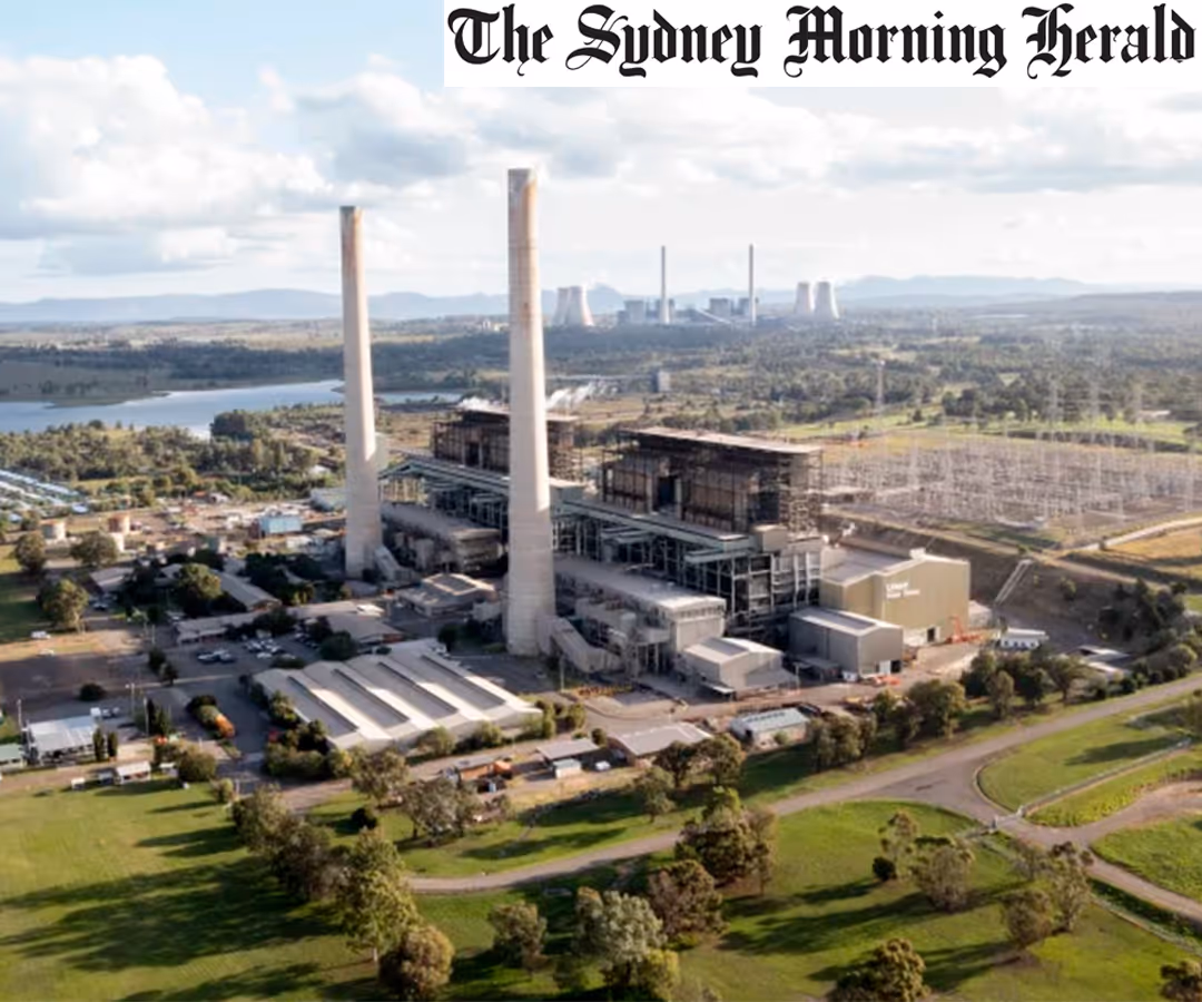 Energy giant AGL will partner with a technology company backed by its biggest shareholder, billionaire Mike Cannon-Brookes, to assess building a first-of-its-kind solar panel manufacturing plant on the site.