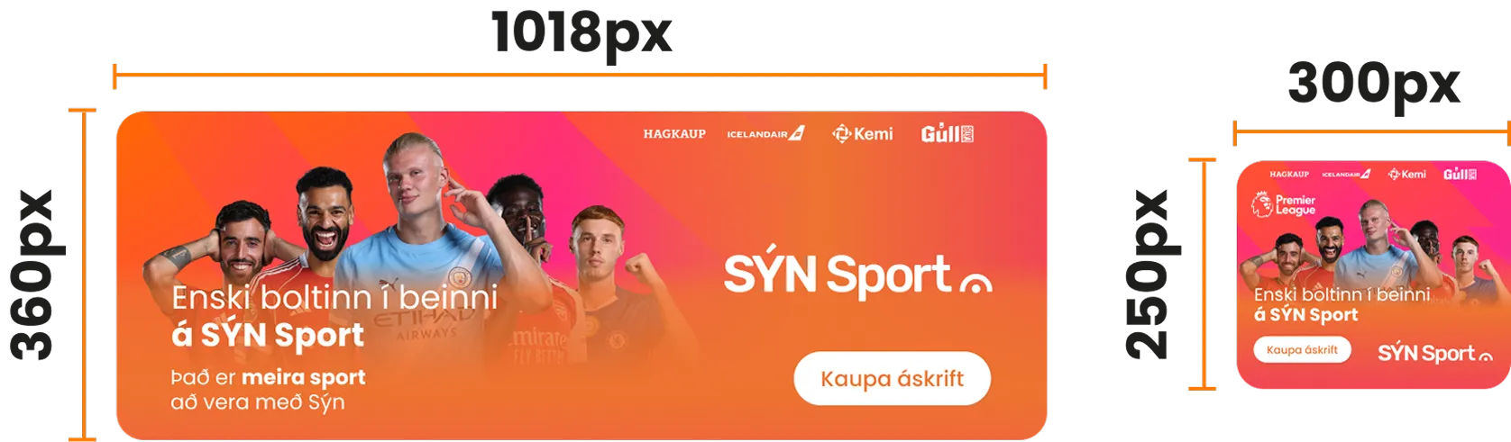 Sýnishorn af vöruauglýsingum í vöruleitinni