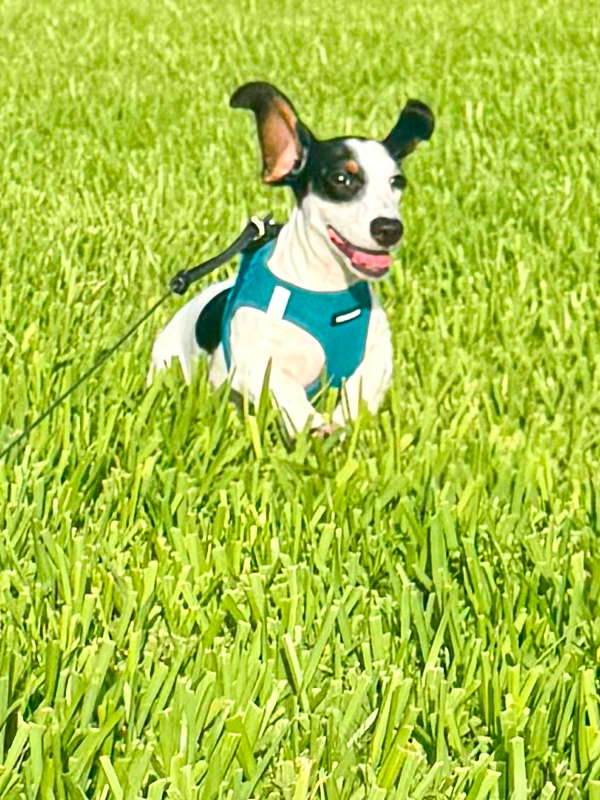 Oliver