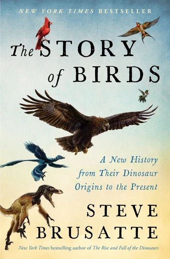 The Story of Birds