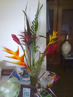 Tropical flowers, a watercolor and Kuwaiti kabsa