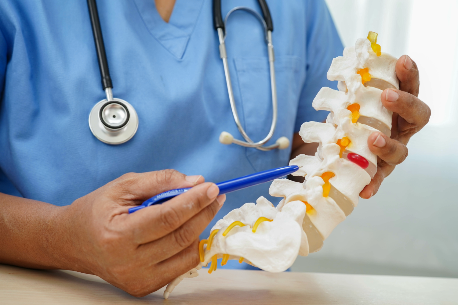 Doctor pointing at spine model.