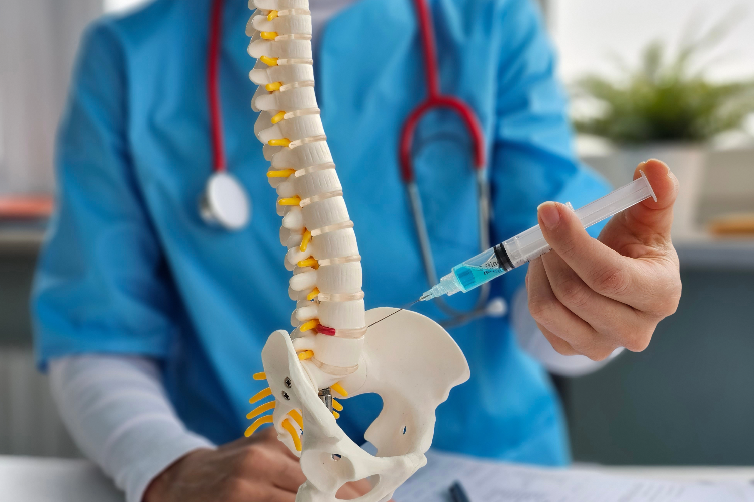 Doctor holding spine model and syringe