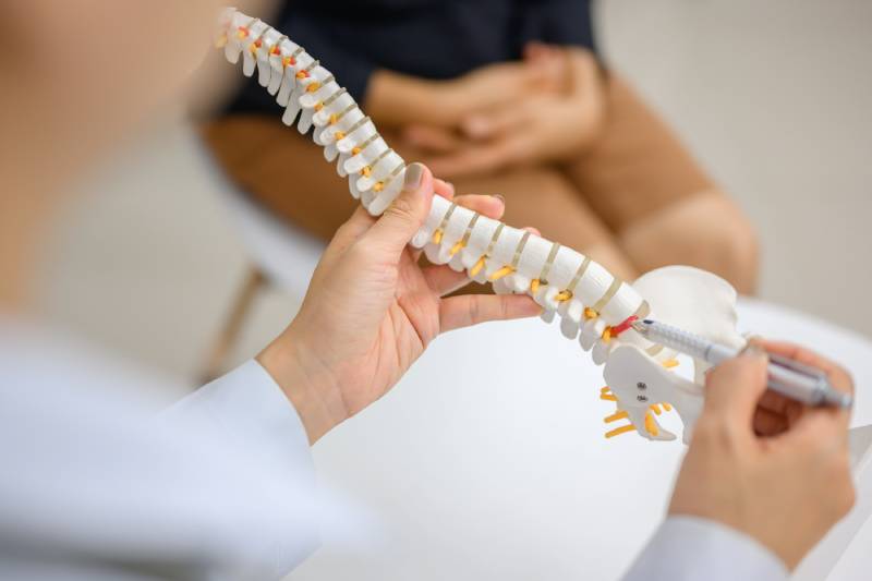 Doctor holds spine model in clinic
