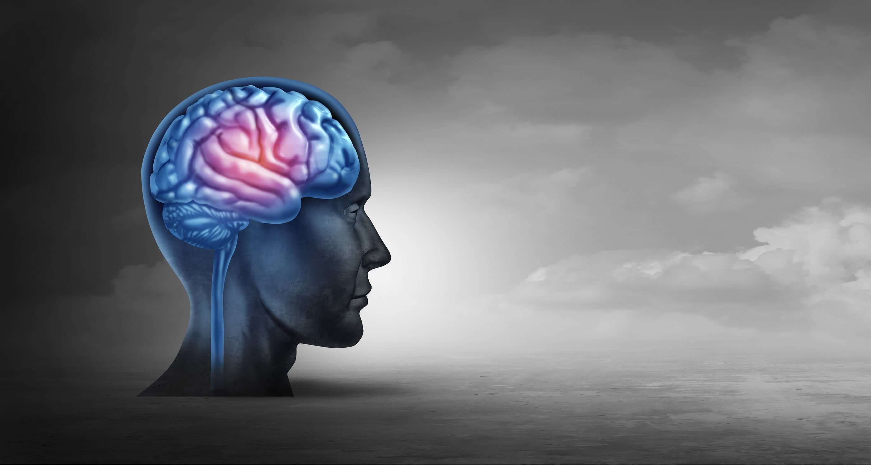 Stylized human head with highlighted brain.