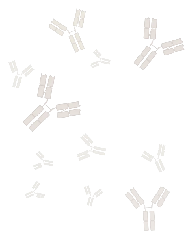 Antibodies illustration