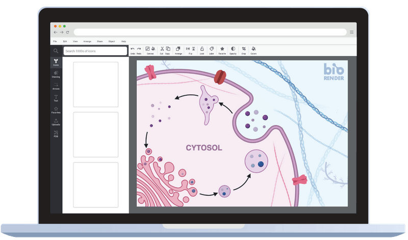 Free Autoencoder neural network (editable, with encoder and decoder ...
