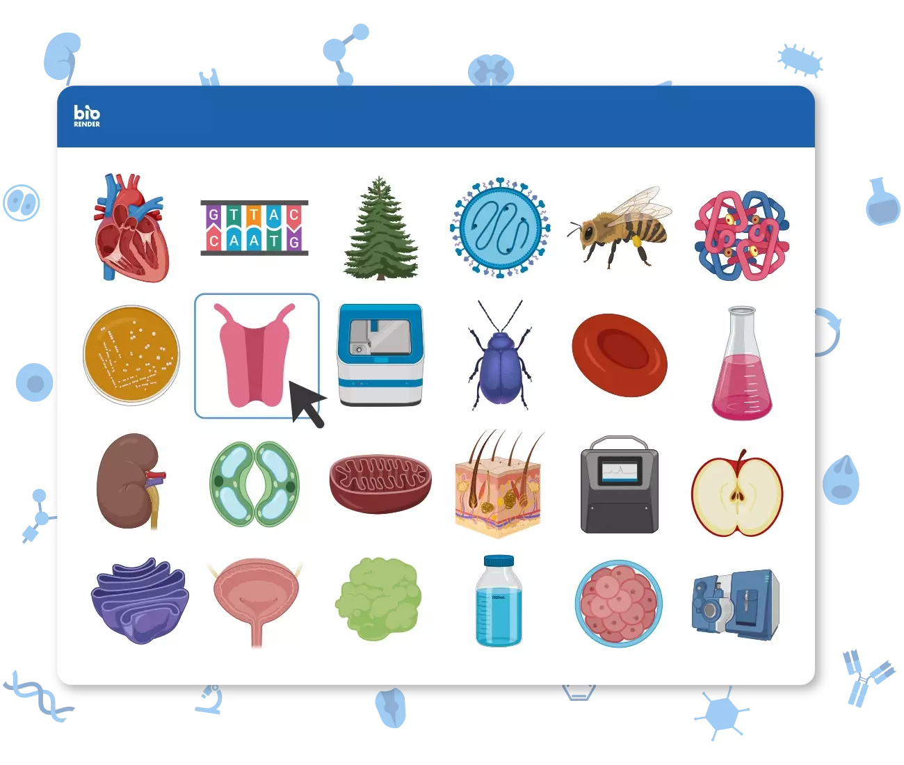 Scientific Image And Illustration Software BioRender