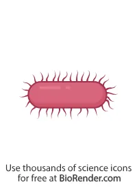 bacteria icon