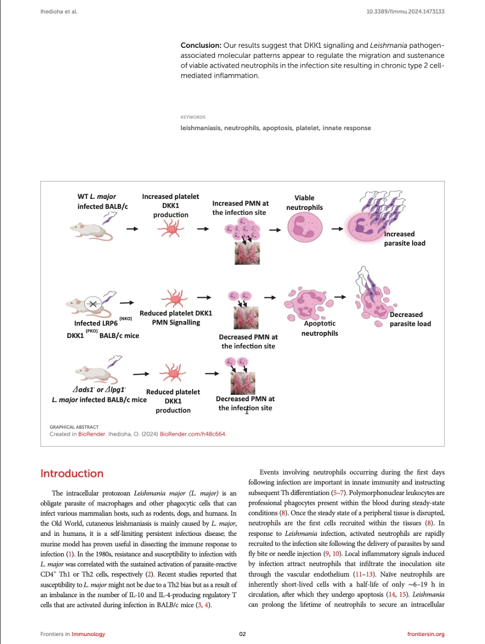 Frontiers publication image