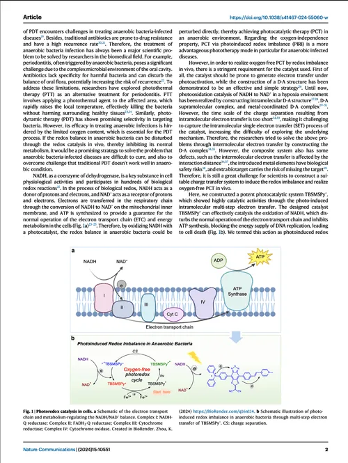 Nature publication image