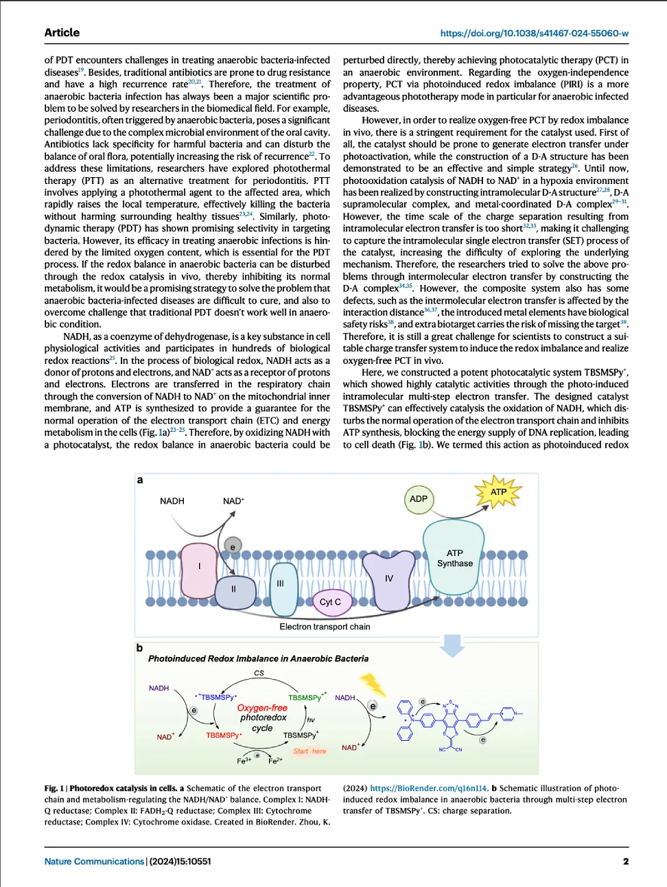 Nature publication image