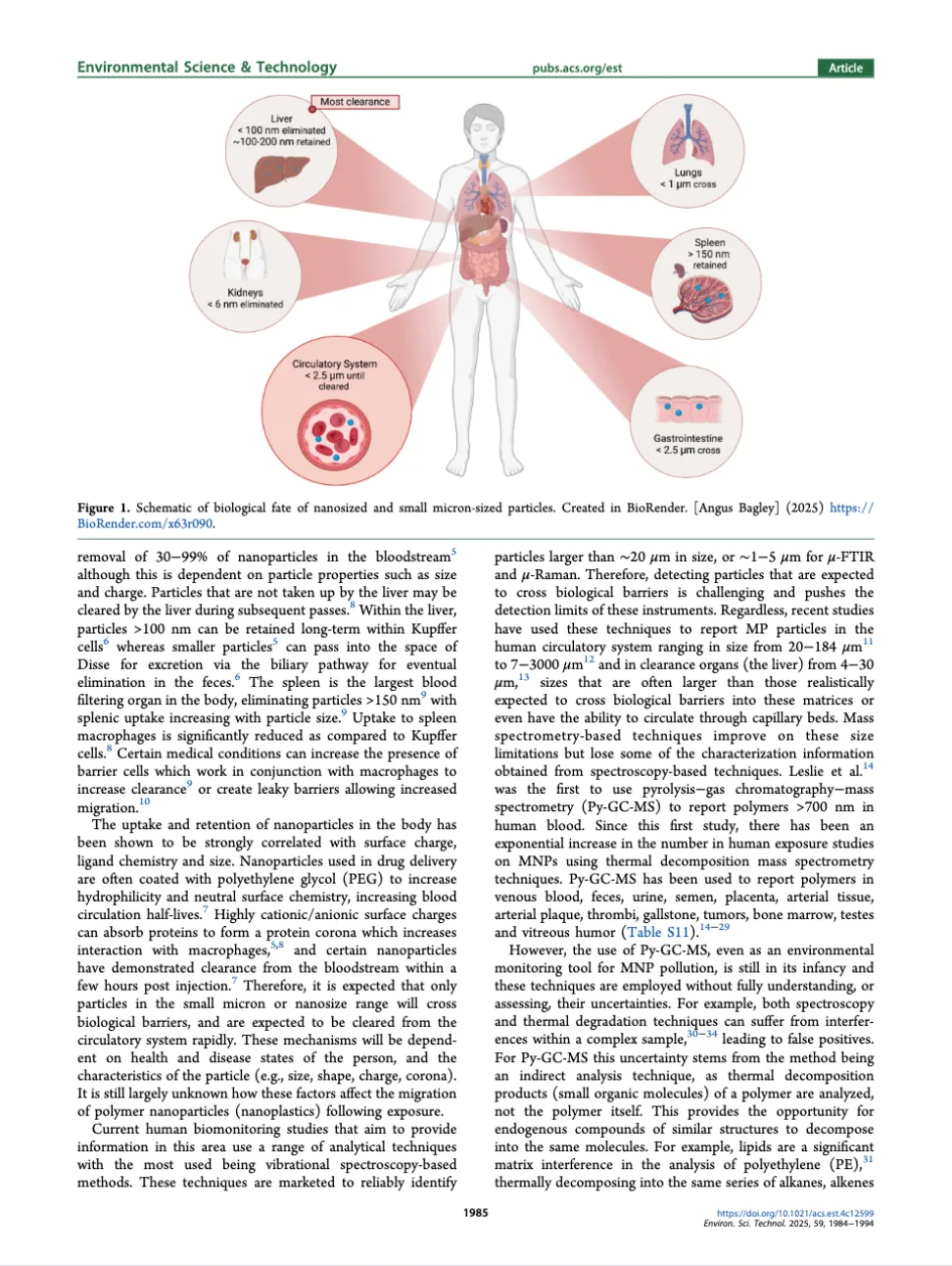 ACS publication image