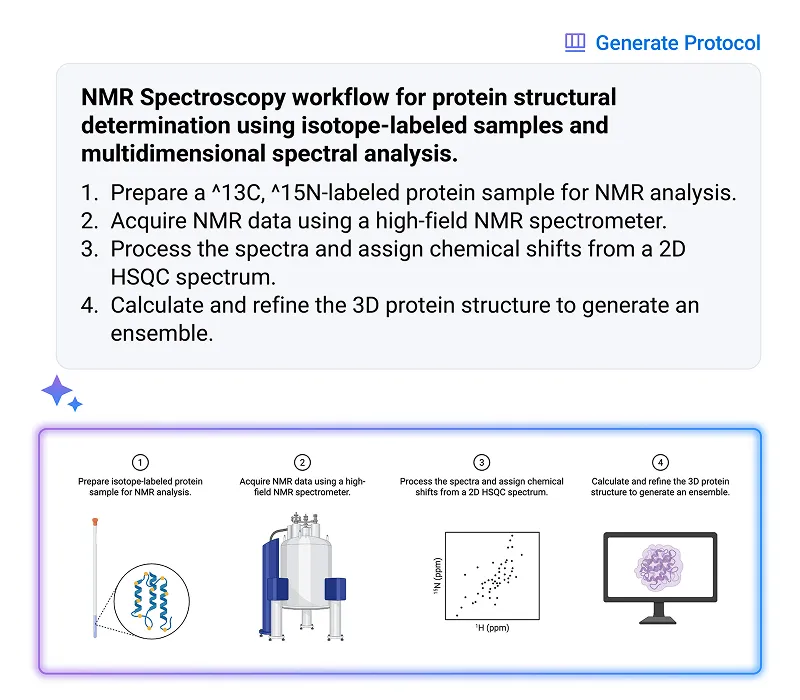 Workflow diagram for NMR spectroscopy protein structural determination with four steps: preparing isotope-labeled protein sample, acquiring NMR data using high-field spectrometer, processing spectra with 2D HSQC spectrum, and calculating 3D protein structure to generate ensemble, accompanied by related icons.