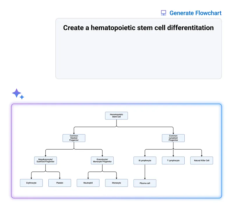 Flowchart depicting hematopoietic stem cell differentiation branching into common myeloid and lymphoid progenitors, further differentiating into various blood cells including erythrocytes, platelets, neutrophils, monocytes, B and T lymphocytes, plasma cells, and natural killer cells.