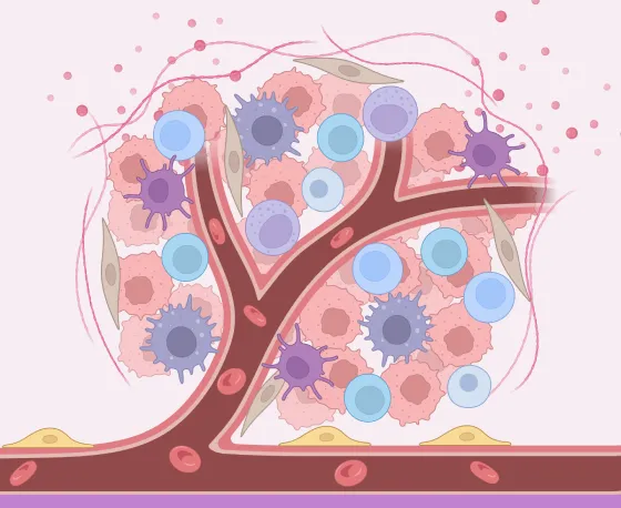 Illustration of various immune cells interacting around a blood vessel with red blood cells and connective tissue, depicting immune response.